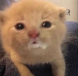 1668713614331.png