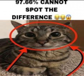1668713668863.png