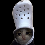 1668714460470.png