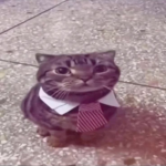 1787732872284.png