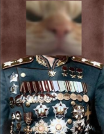 1788870526779.png