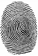fingerprint_PNG81.png fingerprint_PNG81.png