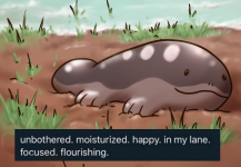 1670531862520.png