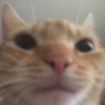 1678076376240.png