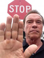 Arnold Schwarzenegger Stop.jpg
