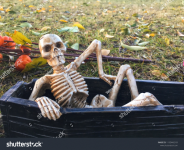 stock-photo-a-skeleton-climbing-out-of-a-coffin-1195446319 (2).png