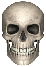 1685572411938.png