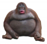 1691648036986.png