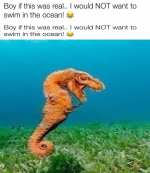 1691889436691.png
