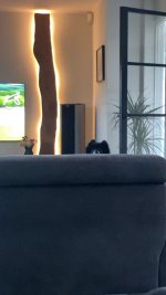 IMG_4428.jpg