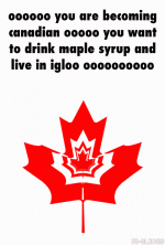 1000000261.gif