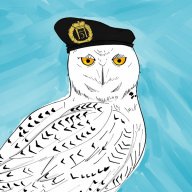 Owl Hootingson