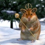 Lord Hamster