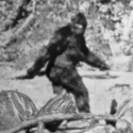 Bigfoot