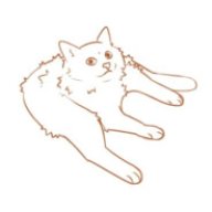 ChunkyComet