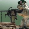 SquirrelGunner