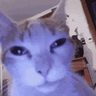 Luciferluxu