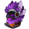 Proto