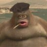 CaptainMonke