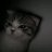 itsnebs
