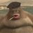 CaptainMonke